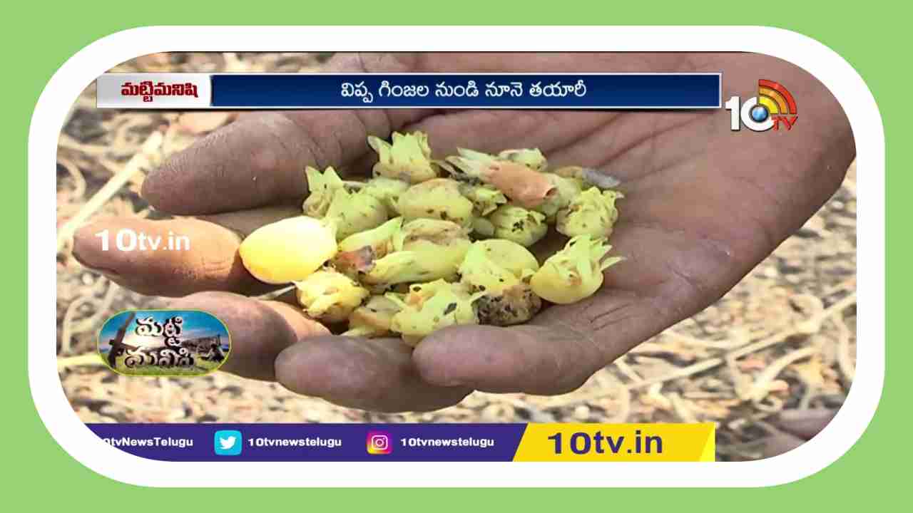 Mahua Flower : గిరిజనులకు కల్పతరువుగా ఇప్పపువ్వు.. ఉప ఉత్పత్తులతో ఉపాధి పొందుతున్న మహిళలు Mahua Flower : గిరిజనులకు కల్పతరువుగా ఇప్పపువ్వు.. ఉప ఉత్పత్తులతో ఉపాధి పొందుతున్న మహిళలు