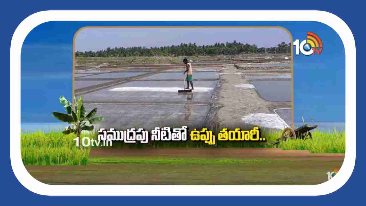 Making Salt : సముద్రపు నీటితో ఉప్పు తయారీ.. Making Salt : సముద్రపు నీటితో ఉప్పు తయారీ..