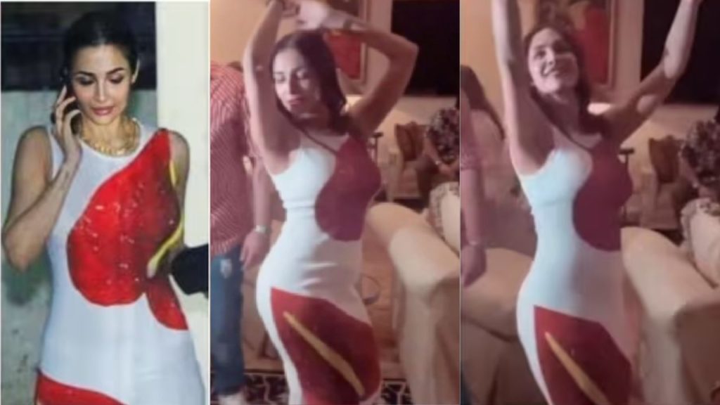 Malaika Arora dress cost where she wore at Arjun Kapoor birthday party
