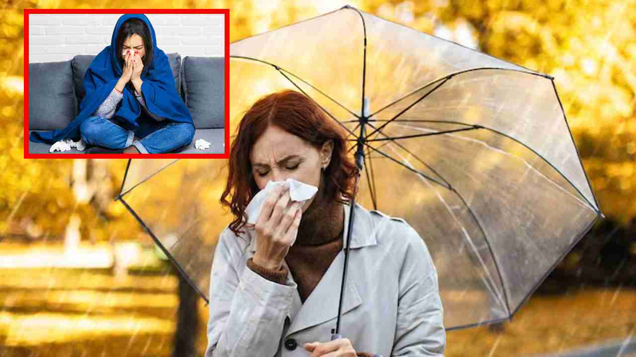 Monsoon Diseases : డెంగ్యూ నుండి చికున్గున్యా వరకు వర్షకాలంలో వచ్చే 5 సాధారణ వ్యాధులు, నివారణ చిట్కాలు ! Monsoon Diseases : డెంగ్యూ నుండి చికున్గున్యా వరకు వర్షకాలంలో వచ్చే 5 సాధారణ వ్యాధులు, నివారణ చిట్కాలు !