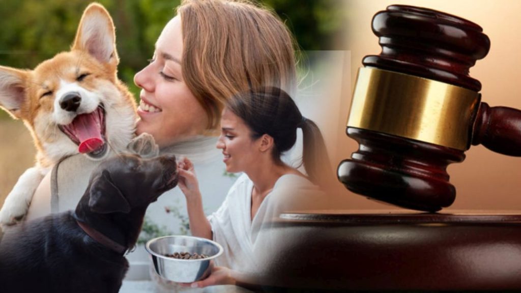 Mumbai Court Wife with Allowance for pet dogs
