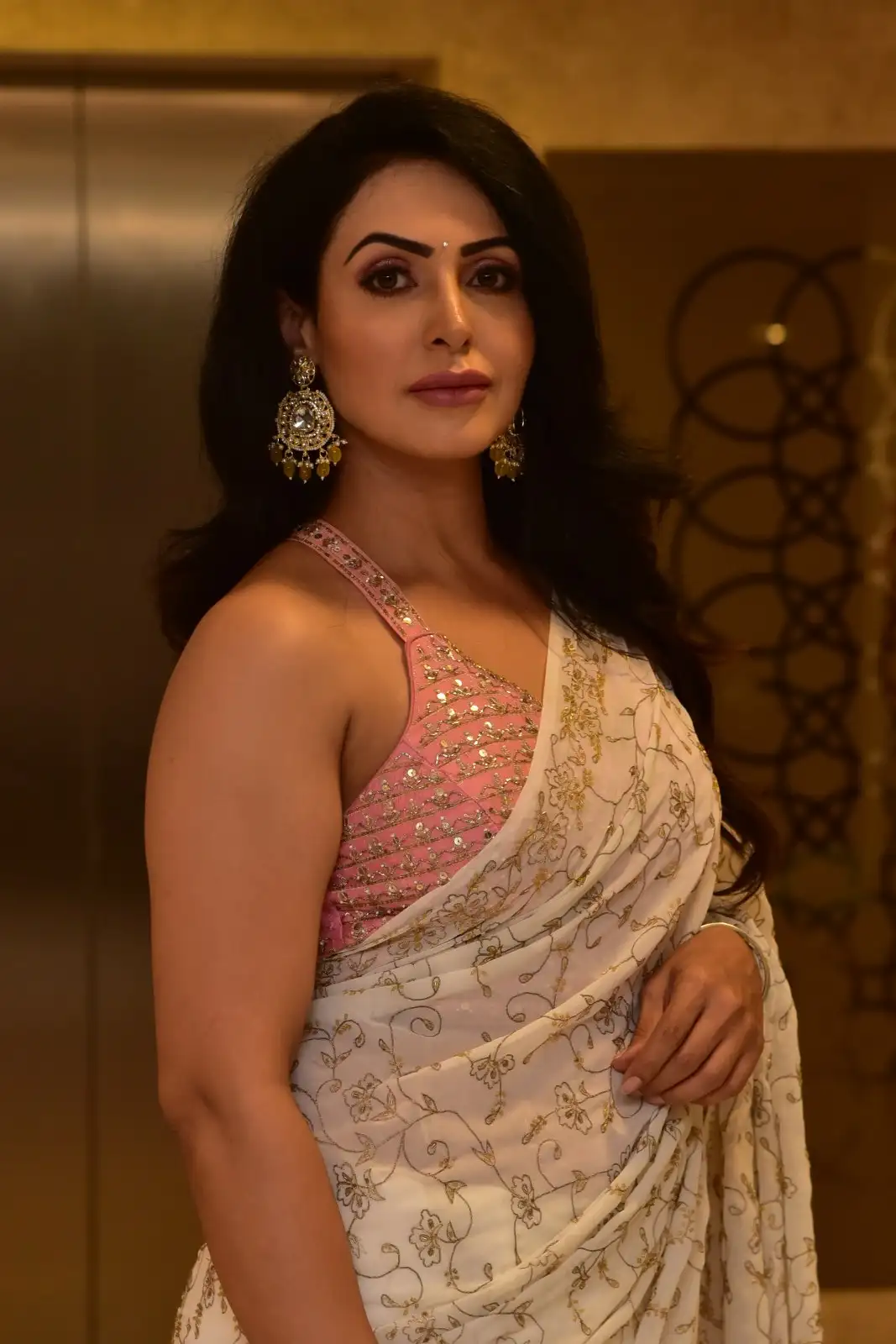 Nandini Rai Shines in Saree at Bhaag Saale Movie Pre Release Event