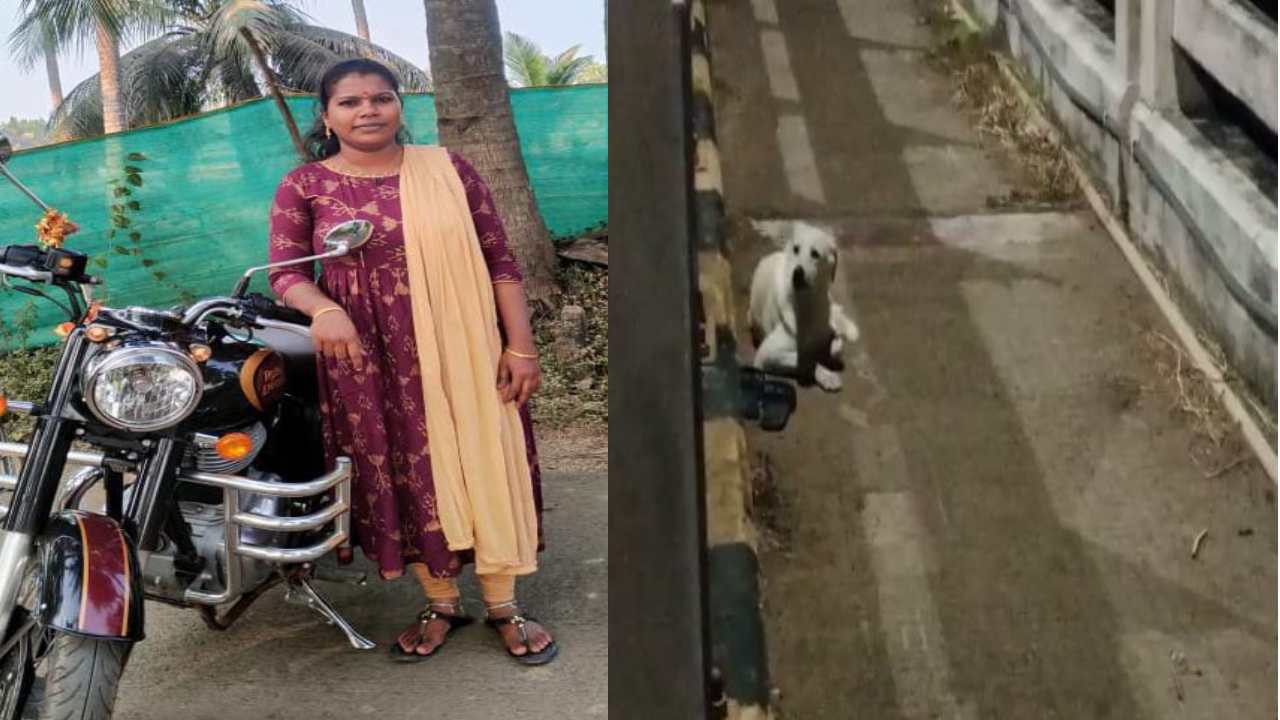 Kakinada : హృదయ విదారక ఘటన.. యజమాని చనిపోయిందని తెలీక ఆమె చెప్పుల దగ్గర కాపలా కాస్తున్న శునకం Kakinada : హృదయ విదారక ఘటన.. యజమాని చనిపోయిందని తెలీక ఆమె చెప్పుల దగ్గర కాపలా కాస్తున్న శునకం