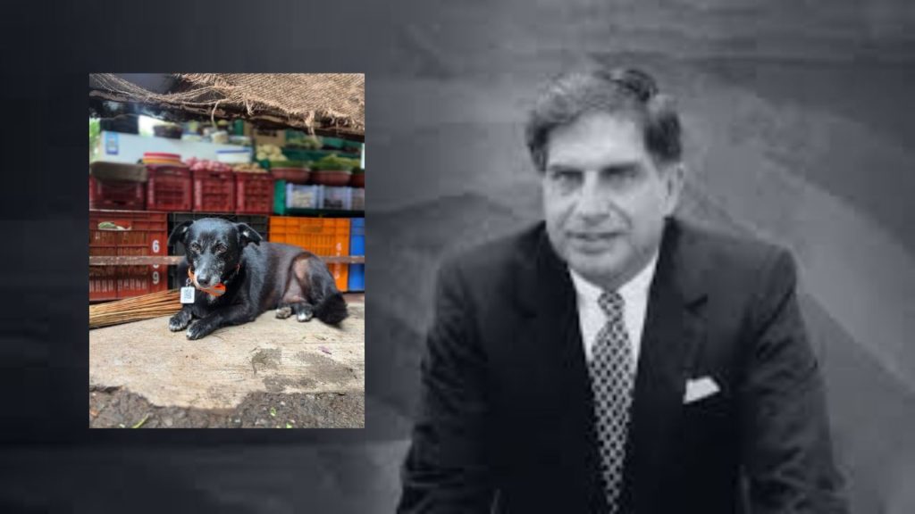 Ratan Tata