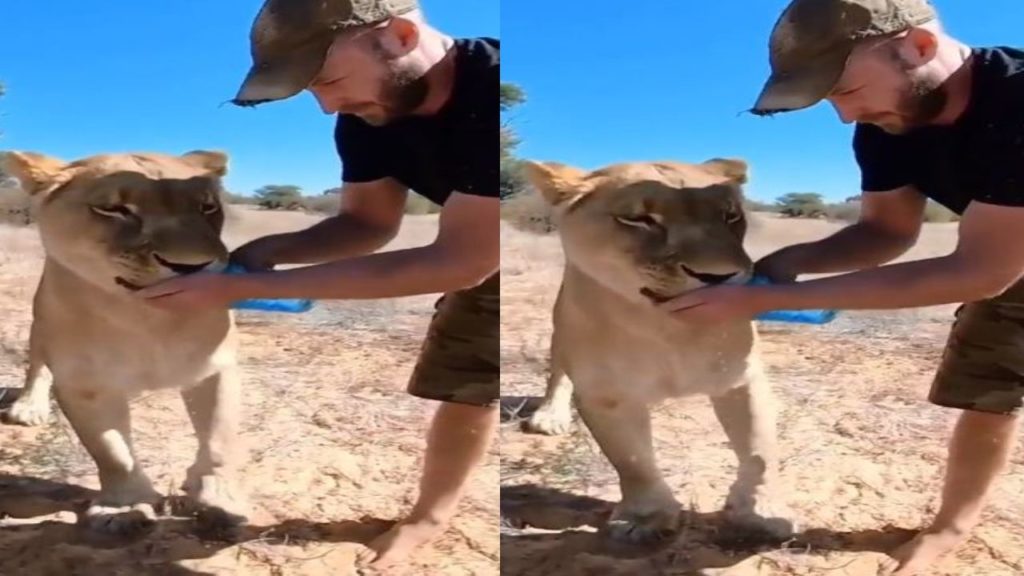 Kind man viral video