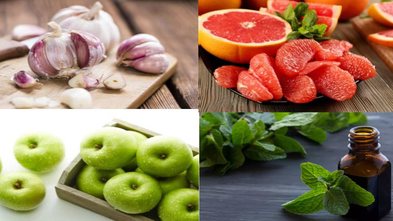 Weight loss tip : వీటిని వాసన చూస్తేనే బరువు తగ్గుతారట Weight loss tip : వీటిని వాసన చూస్తేనే బరువు తగ్గుతారట