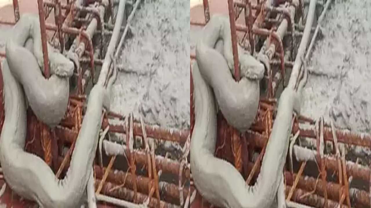 Mumbai : ఆ ఇంటి 13 వ అంతస్తులో ఇండియన్ రాక్ పైథాన్ ప్రత్యక్షం.. ఉలిక్కిపడ్డ ముంబయి వాసులు Mumbai : ఆ ఇంటి 13 వ అంతస్తులో ఇండియన్ రాక్ పైథాన్ ప్రత్యక్షం.. ఉలిక్కిపడ్డ ముంబయి వాసులు