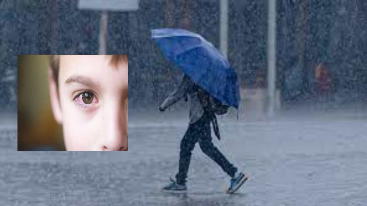 Eye Infections : ఢిల్లీలో భారీగా పెరిగిన కండ్ల కలక కేసులు.. జాగ్రత్తలు తీసుకోవాలంటున్న వైద్యులు Eye Infections : ఢిల్లీలో భారీగా పెరిగిన కండ్ల కలక కేసులు.. జాగ్రత్తలు తీసుకోవాలంటున్న వైద్యులు