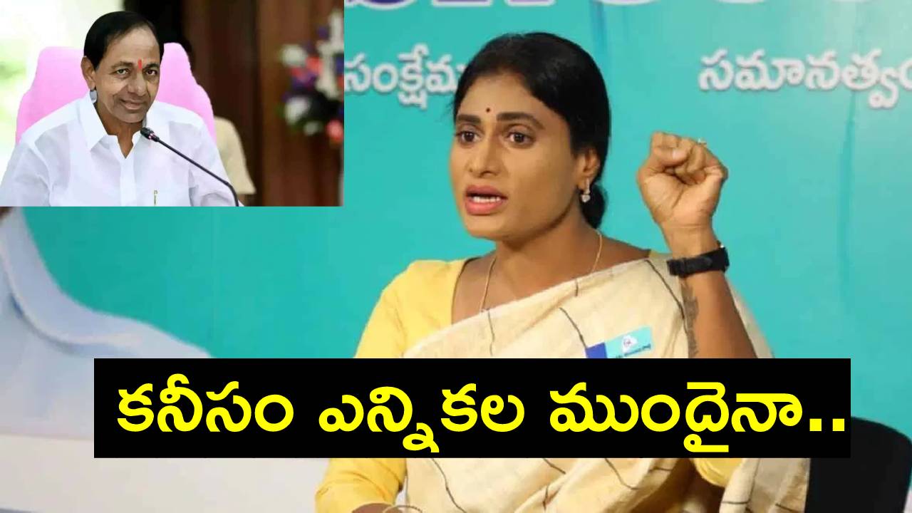 YS Sharmila: ఊర్లు మునిగినా, ఇండ్లు కూలినా.. జనం వరదల్లో పడి కొట్టుకుపోతున్నా..: షర్మిల YS Sharmila: ఊర్లు మునిగినా, ఇండ్లు కూలినా.. జనం వరదల్లో పడి కొట్టుకుపోతున్నా..: షర్మిల