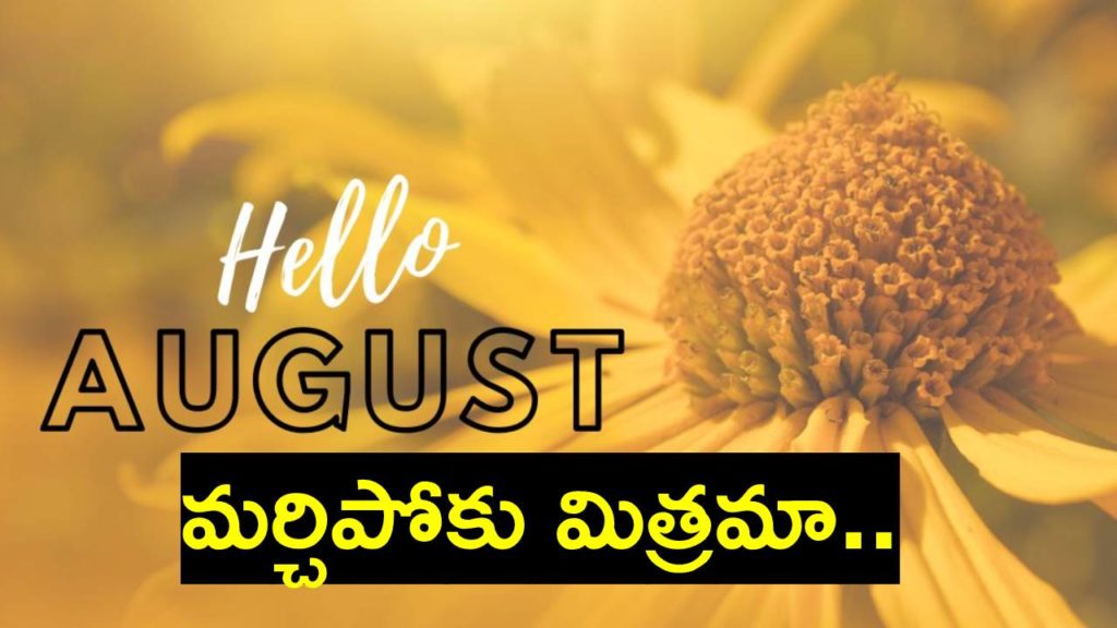 Financial facts to know in August