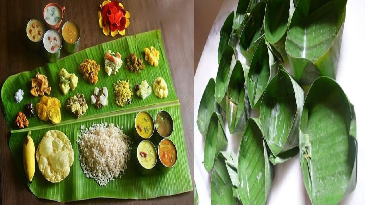 Banana Leaves : అరిటాకులో భోజనం ఎందుకు చేస్తారో తెలుసా? Banana Leaves : అరిటాకులో భోజనం ఎందుకు చేస్తారో తెలుసా?