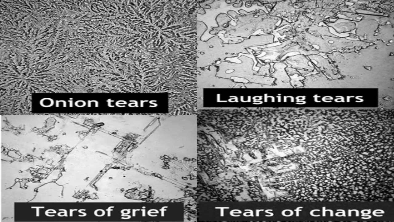 Different Types of Tears : కన్నీళ్లలో ఇన్ని రకాలున్నాయా? Different Types of Tears : కన్నీళ్లలో ఇన్ని రకాలున్నాయా?