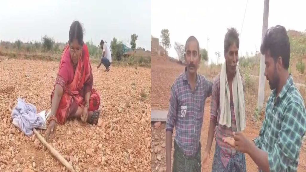 Kurnool District