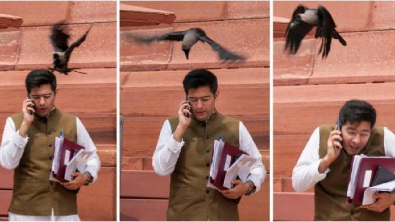 Delhi : ఆప్ ఎంపీ రాఘవ్ చద్దాపై దాడి చేసిన కాకి.. ఎగతాళి చేస్తూ బీజేపీ ట్వీట్లు Delhi : ఆప్ ఎంపీ రాఘవ్ చద్దాపై దాడి చేసిన కాకి.. ఎగతాళి చేస్తూ బీజేపీ ట్వీట్లు