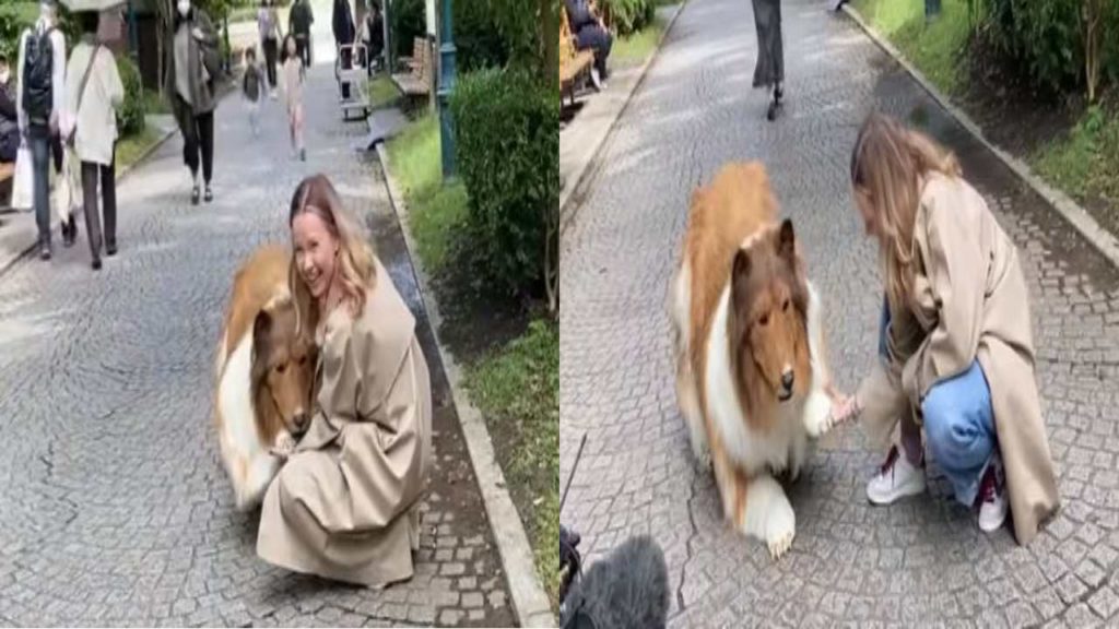 Man turned into a dog