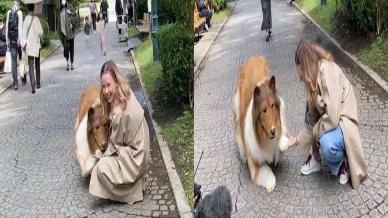 Man turned into a dog : అయ్యో! అతను శునకంలా మారిపోయాడు.. ఎక్కడో తెలుసా? Man turned into a dog : అయ్యో! అతను శునకంలా మారిపోయాడు.. ఎక్కడో తెలుసా?
