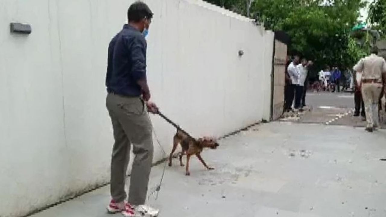 Delhi : 3 ఏళ్లుగా తన ప్లాట్ లో 14 వీధి కుక్కలను నిర్బంధించిన మహిళ.. దయనీయమైన పరిస్థితిలో ఉన్నవాటిని కాపాడిన పోలీసులు Delhi : 3 ఏళ్లుగా తన ప్లాట్ లో 14 వీధి కుక్కలను నిర్బంధించిన మహిళ.. దయనీయమైన పరిస్థితిలో ఉన్నవాటిని కాపాడిన పోలీసులు