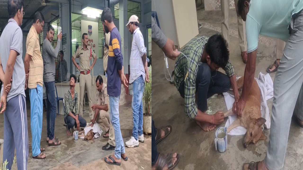 Khammam District : అనారోగ్యంతో చనిపోయిన కుక్కకు అంత్యక్రియలు నిర్వహించి మానవత్వం చాటుకున్న పోలీసులు Khammam District : అనారోగ్యంతో చనిపోయిన కుక్కకు అంత్యక్రియలు నిర్వహించి మానవత్వం చాటుకున్న పోలీసులు