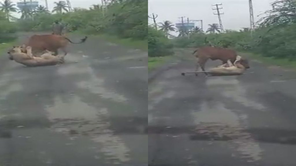 Gujarat