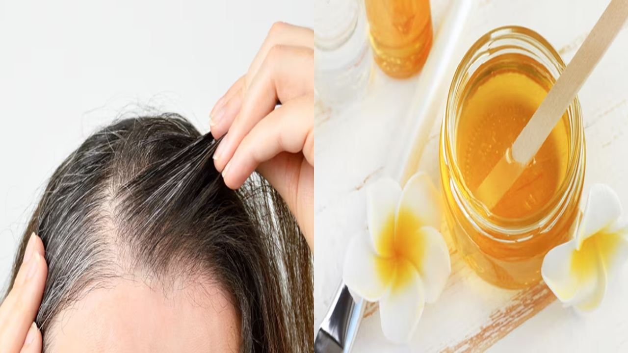Benefits of honey for hair : తేనె రాస్తే జుట్టు తెల్లబడుతుందా? ఇందులో నిజమెంత.. Benefits of honey for hair : తేనె రాస్తే జుట్టు తెల్లబడుతుందా? ఇందులో నిజమెంత..