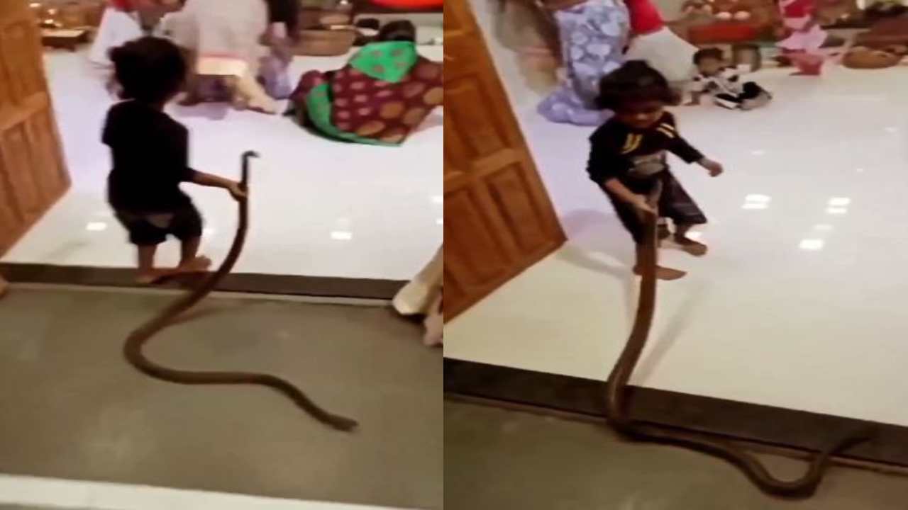 Viral Video : పాముతో ఆటలాడుతున్న చిన్నారి.. వీడియో తీసిన వాళ్లు అజ్ఞానులంటూ నెటిజన్లు ఫైర్ Viral Video : పాముతో ఆటలాడుతున్న చిన్నారి.. వీడియో తీసిన వాళ్లు అజ్ఞానులంటూ నెటిజన్లు ఫైర్