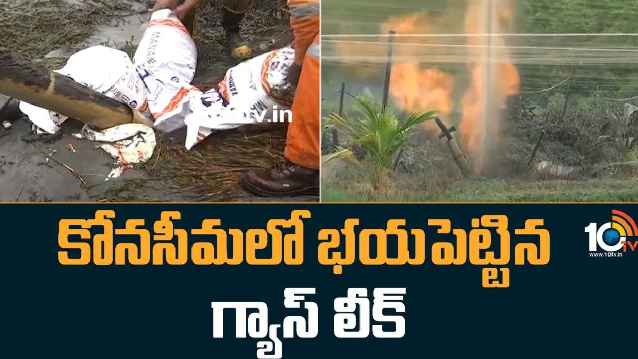 ONGC Gas Leak : కోనసీమలో కలకలం రేపిన మంటలు.. 8గంటల తర్వాత అదుపులోకి, వాటంతట అవే.. ONGC Gas Leak : కోనసీమలో కలకలం రేపిన మంటలు.. 8గంటల తర్వాత అదుపులోకి, వాటంతట అవే..
