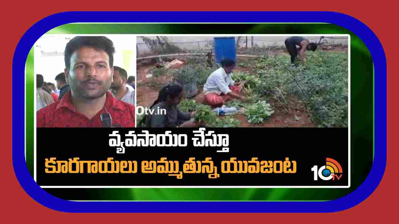 Organic Vegetable Farming : వ్యవసాయం చేస్తూ.. రైతుబజార్లో.. కూరగాయలు అమ్ముతున్న యువజంట Organic Vegetable Farming : వ్యవసాయం చేస్తూ.. రైతుబజార్లో.. కూరగాయలు అమ్ముతున్న యువజంట
