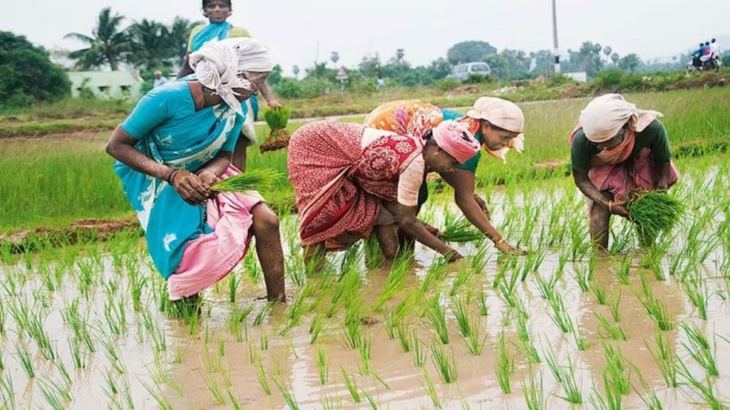 PM Kisan Samman Nidhi