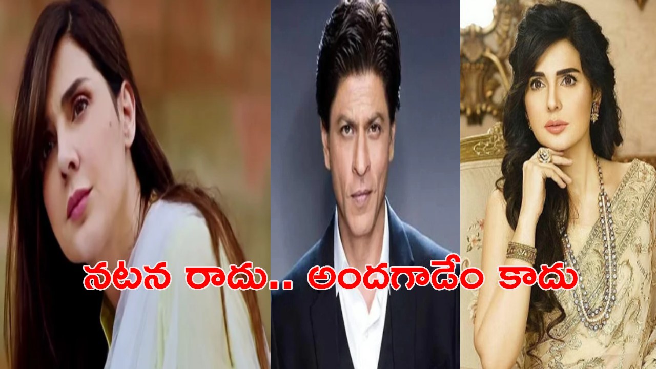 Mahnoor Baloch : షారుఖ్ ఖాన్కు నటన రాదు.. పెద్ద అందగాడేం కాదు.. నటి సంచలన వ్యాఖ్యలు Mahnoor Baloch : షారుఖ్ ఖాన్కు నటన రాదు.. పెద్ద అందగాడేం కాదు.. నటి సంచలన వ్యాఖ్యలు
