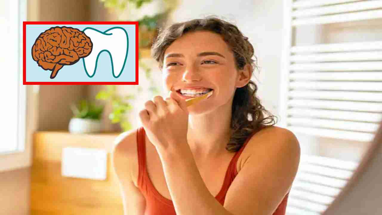 Poor Dental Health : దంతాల శుభ్రత సరిగా లేకుంటే మెదడు ఆరోగ్యంపై ప్రభావం పడుతుందా ? అధ్యయనం ఏంచెబుతుందంటే ? Poor Dental Health : దంతాల శుభ్రత సరిగా లేకుంటే మెదడు ఆరోగ్యంపై ప్రభావం పడుతుందా ? అధ్యయనం ఏంచెబుతుందంటే ?