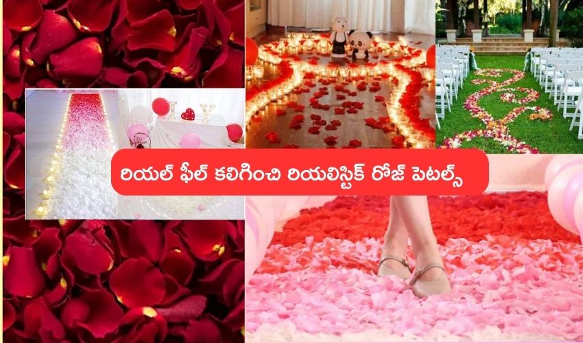 Rose Petals : ఈ గులాబీ రేకులు వాడిపోవు,నలిగిపోవు.. వేడుకల డెకరేషన్లో వీటి దర్పమే వేరు Rose Petals : ఈ గులాబీ రేకులు వాడిపోవు,నలిగిపోవు.. వేడుకల డెకరేషన్లో వీటి దర్పమే వేరు