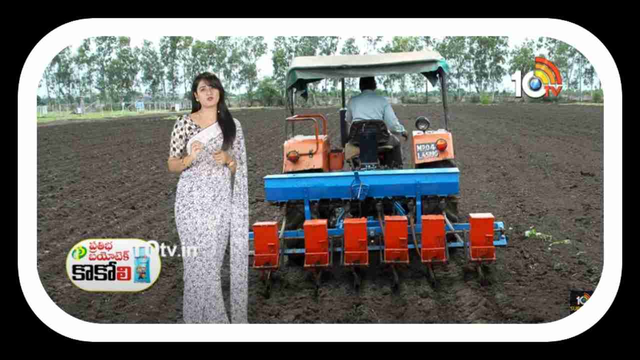 Seed Selection Process : సాగుకు సిద్ధమవుతున్న రైతులు.. విత్తన సేకరణలో జాగ్రత్తలు Seed Selection Process : సాగుకు సిద్ధమవుతున్న రైతులు.. విత్తన సేకరణలో జాగ్రత్తలు