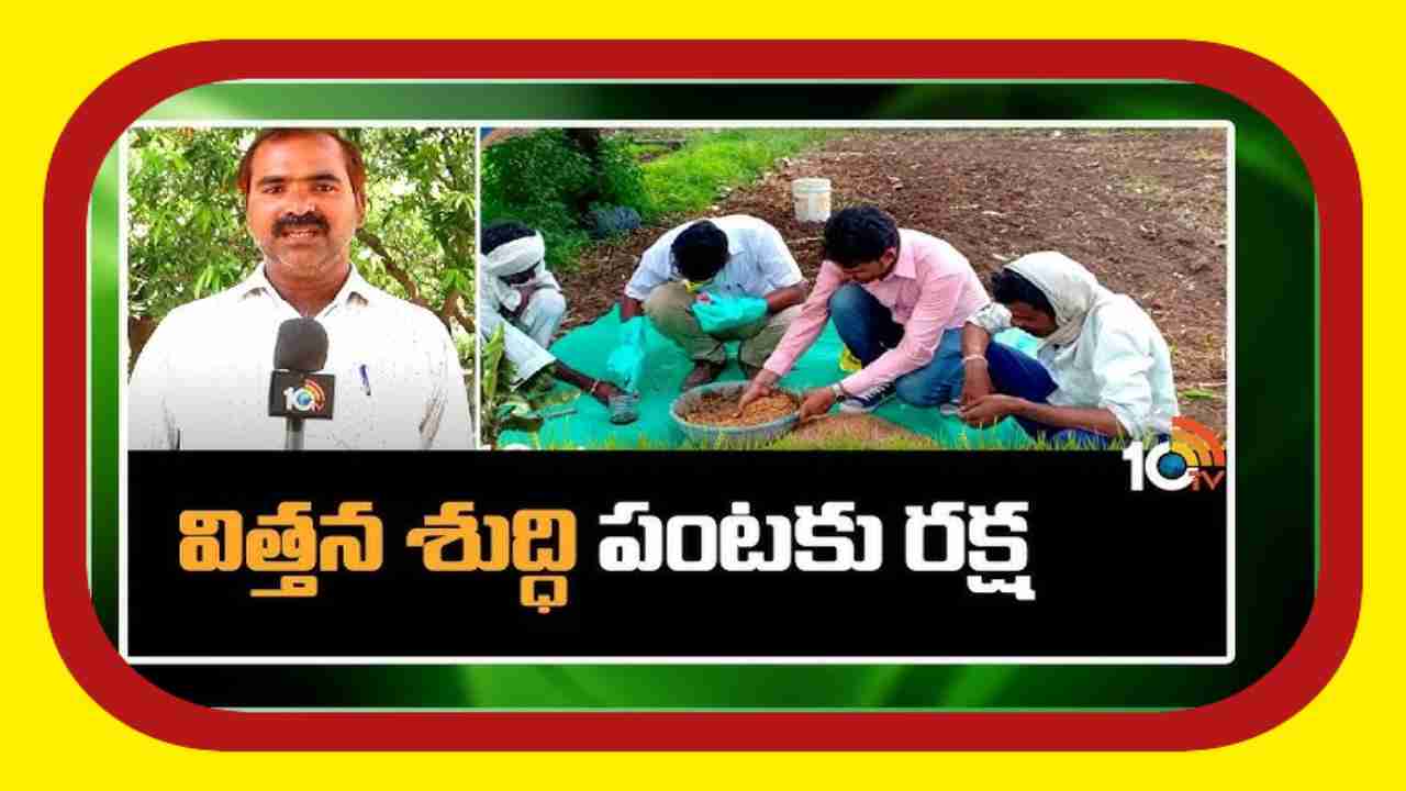 Seed Treatment : విత్తనశుద్ధితో చీడపీడల నివారణతోపాటు పంటకు రక్షణ Seed Treatment : విత్తనశుద్ధితో చీడపీడల నివారణతోపాటు పంటకు రక్షణ