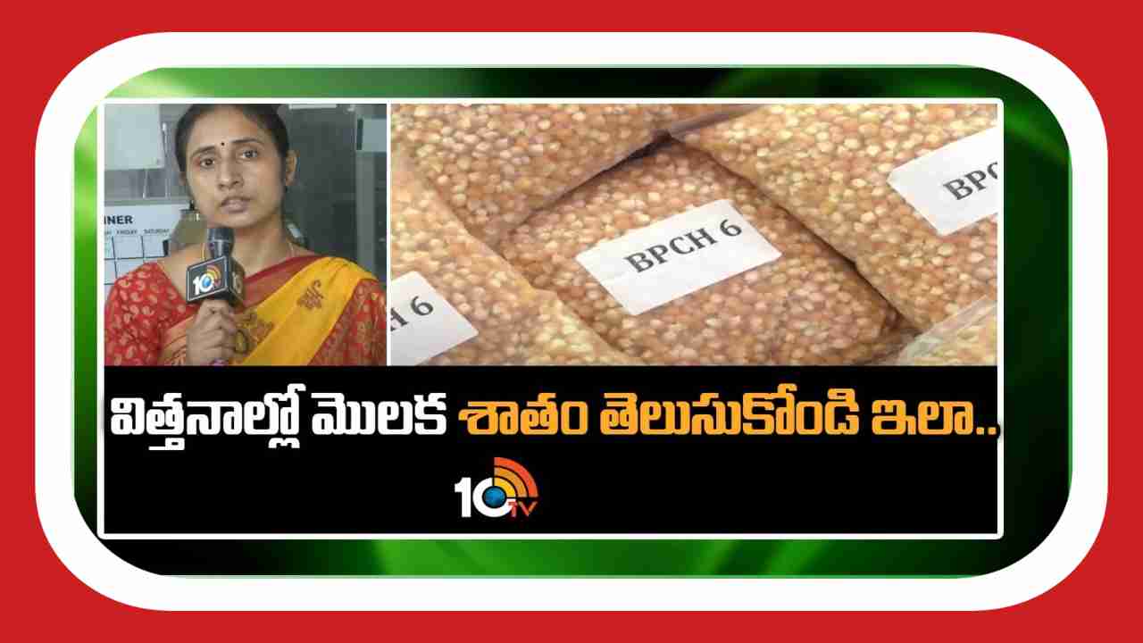 Seeds Germination : విత్తనాల్లో మొలక శాతం తెలుసుకోండి ఇలా.. Seeds Germination : విత్తనాల్లో మొలక శాతం తెలుసుకోండి ఇలా..