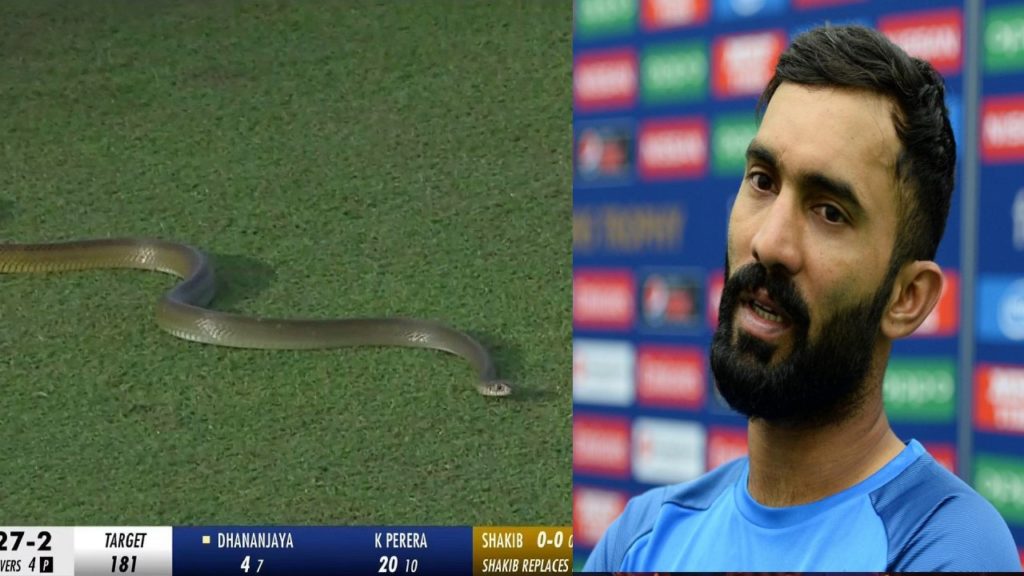 Snake Spotted During LPL Match