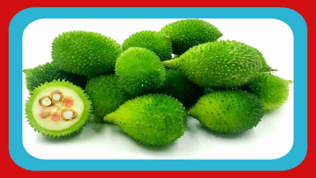 Spiny Gourd