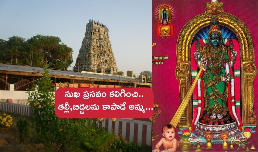 Sri Garbarakshambigai : గర్భిణులకు రక్షణగా ఉండే జగన్మాత కొలువైన పుణ్యక్షేత్రం గురించి తెలుసా..? Sri Garbarakshambigai : గర్భిణులకు రక్షణగా ఉండే జగన్మాత కొలువైన పుణ్యక్షేత్రం గురించి తెలుసా..?