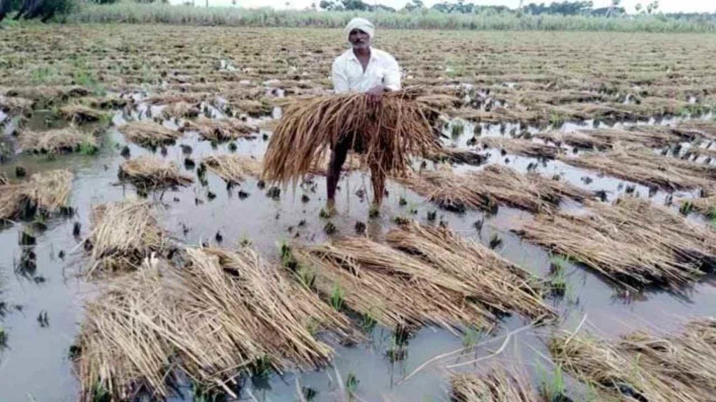 TS Govt compensation