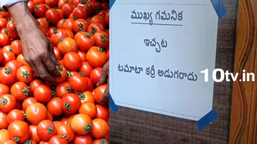 Tomato