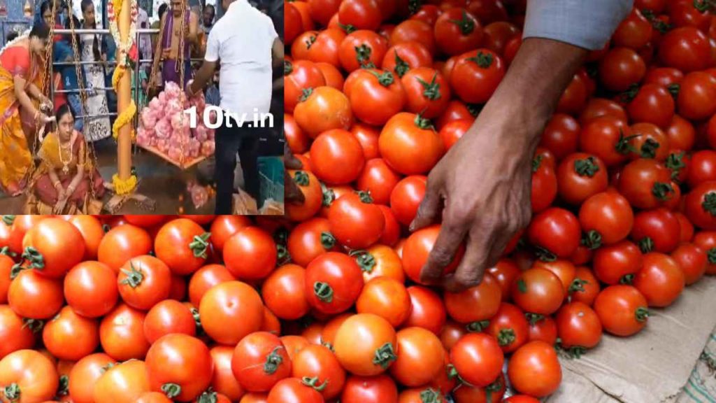 Tomato Tulabaram In Anakapalli