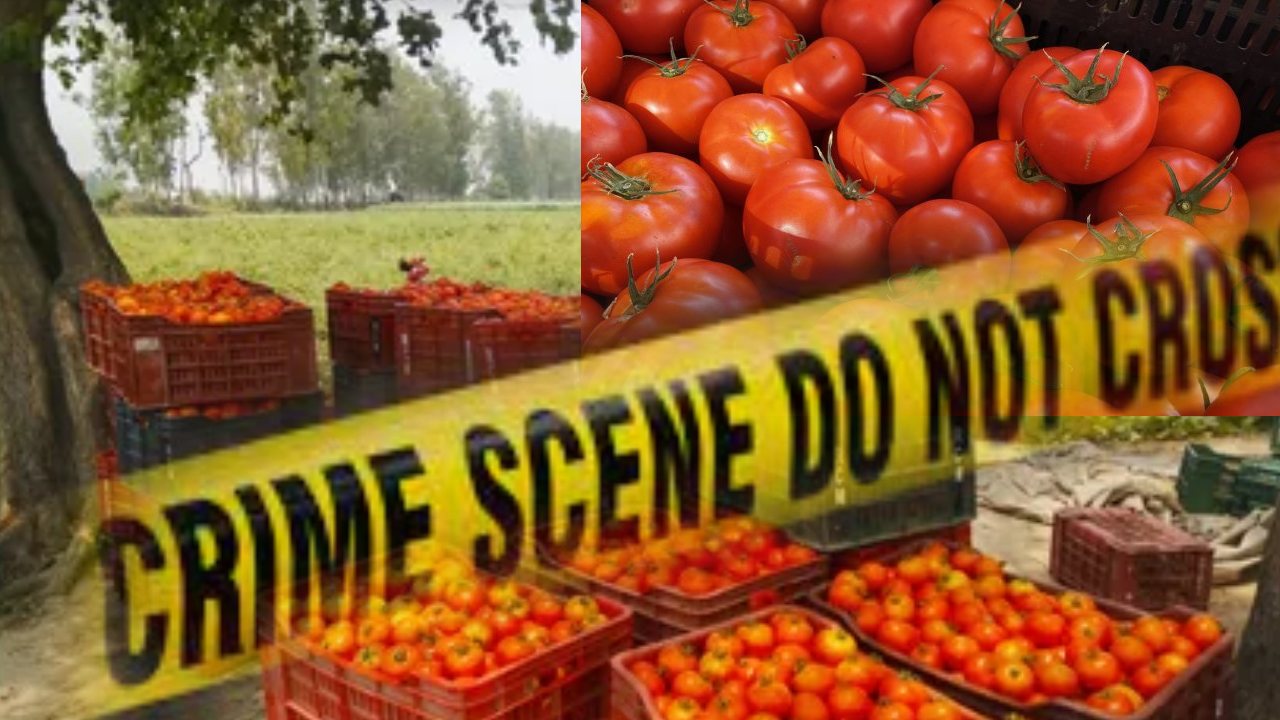 Andhra Pradesh : ఏపీలో టమాటా రైతు హత్య .. ఈ దారుణానికి కారణం అదేనా..?! Andhra Pradesh : ఏపీలో టమాటా రైతు హత్య .. ఈ దారుణానికి కారణం అదేనా..?!