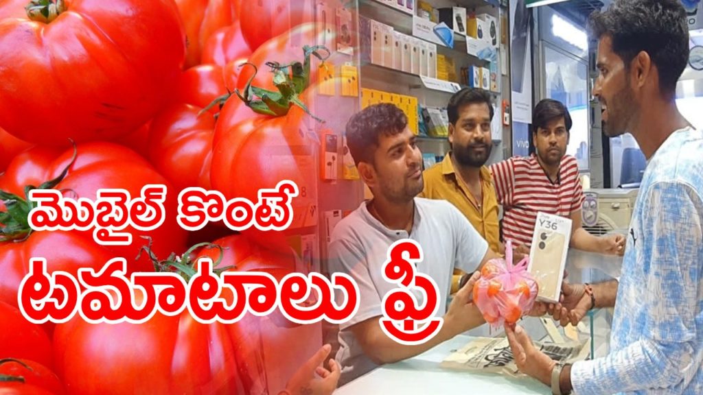 Tomato free