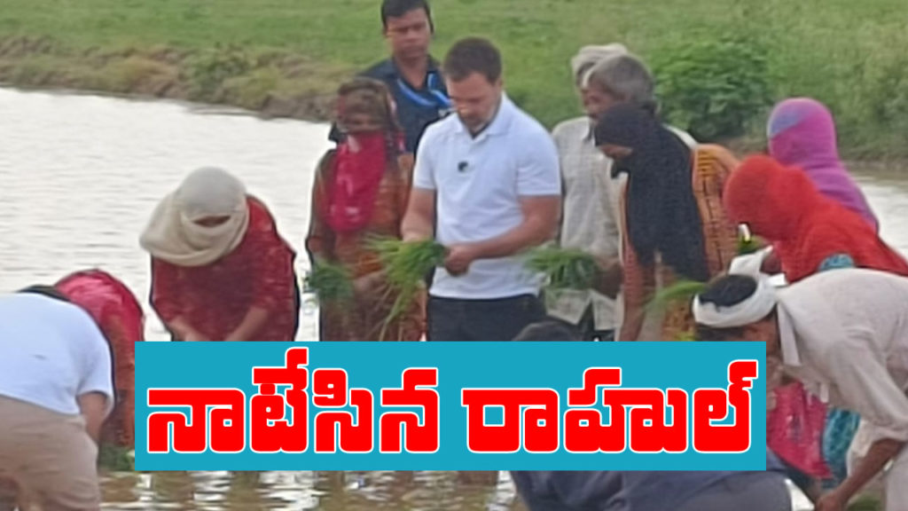 Rahul Gandhi met farmers and worked at the fields in haryana