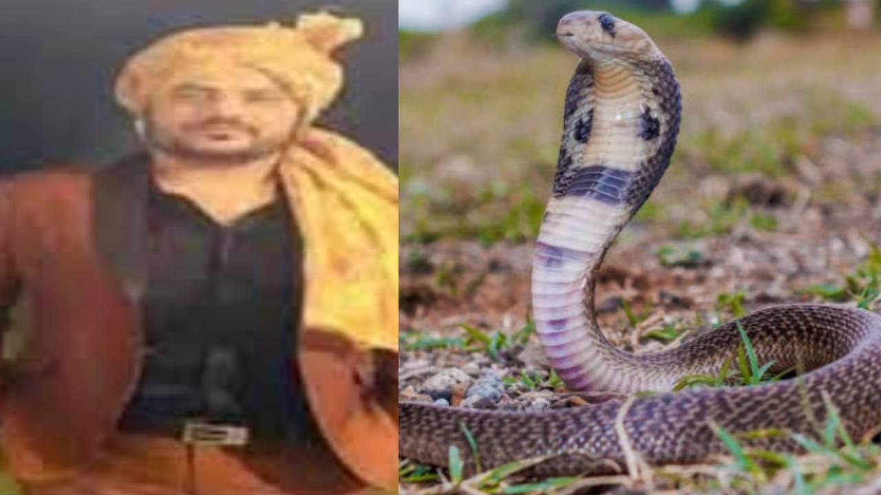 Uttarakhand : పక్కా ప్లాన్ .. కొత్త ప్రియుడి కోసం పాత ప్రియుడ్ని పాముకాటుతో చంపించిన యువతి Uttarakhand : పక్కా ప్లాన్ .. కొత్త ప్రియుడి కోసం పాత ప్రియుడ్ని పాముకాటుతో చంపించిన యువతి