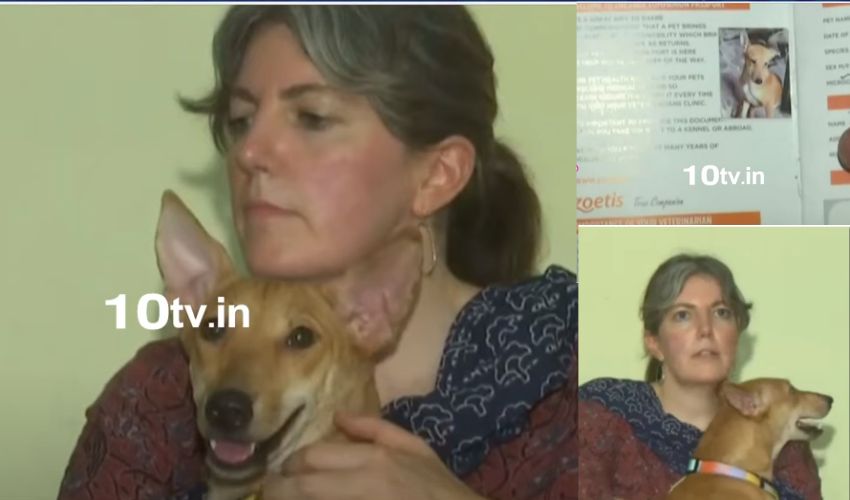 Indian street dog to Italy : భారతీయ వీధికుక్కకు ఇటలీ పాస్పోర్ట్ .. వారణాసి శునకానికి విదేశీయోగం వెనుకున్న కధ ఇదే.. Indian street dog to Italy : భారతీయ వీధికుక్కకు ఇటలీ పాస్పోర్ట్ .. వారణాసి శునకానికి విదేశీయోగం వెనుకున్న కధ ఇదే..
