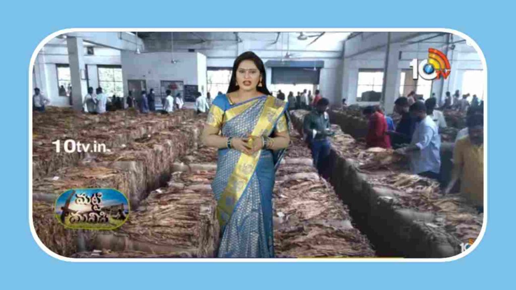Virginia Tobacco