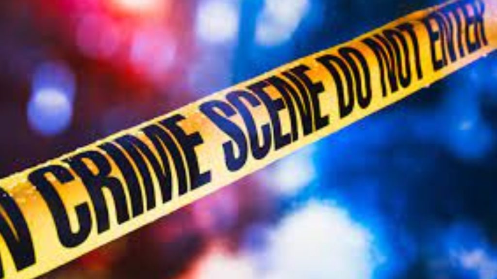 Woman Kill (1)
