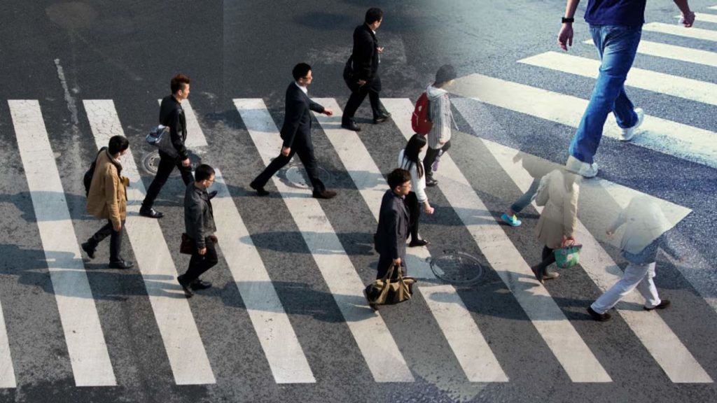 Zebra line On Road