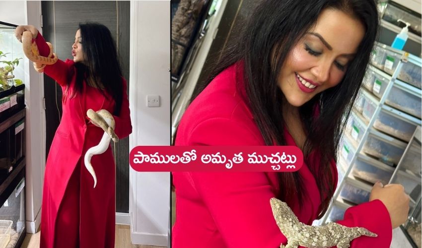 amruta Fadnavis with reptiles