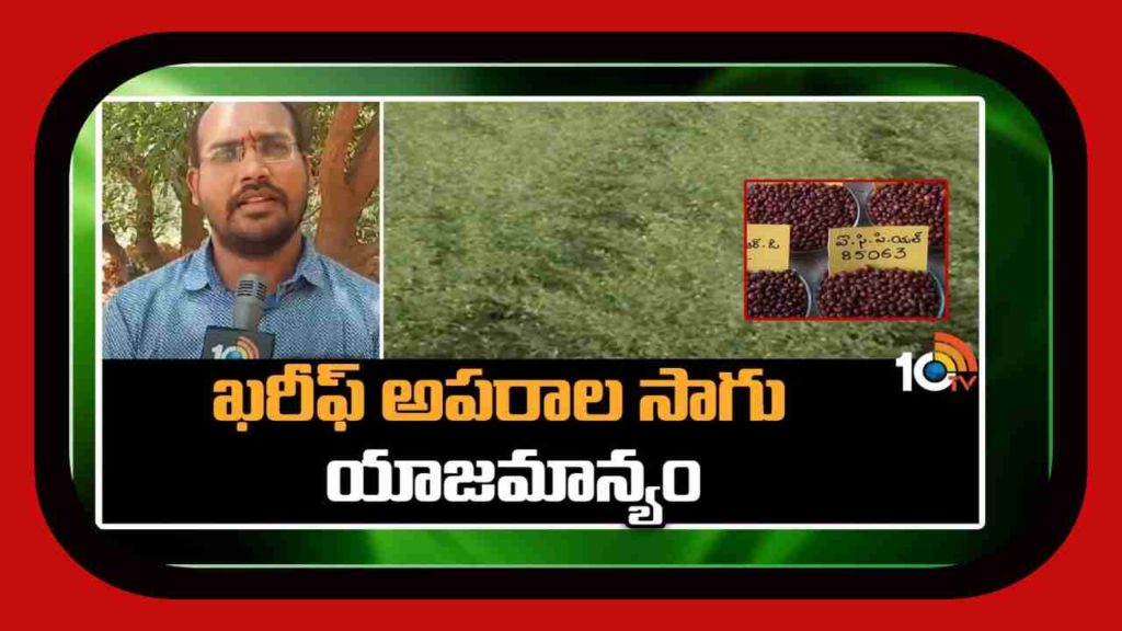 cultivation of kharif crops